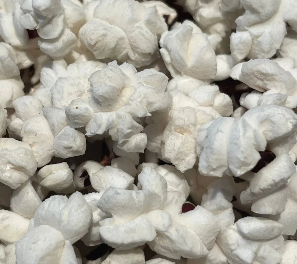 Everly Grace Gourmet-Popcornmais - Christmas Crunch (425g-Flasche)