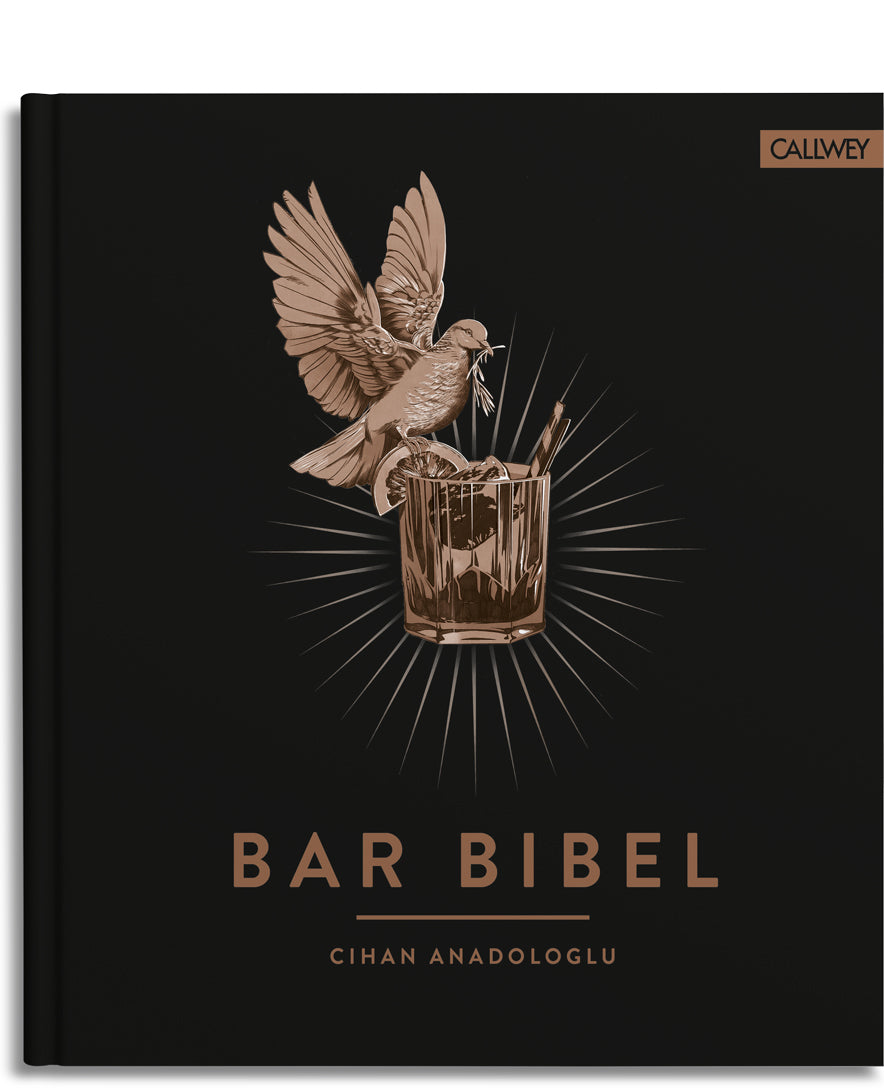 Bar Bibel