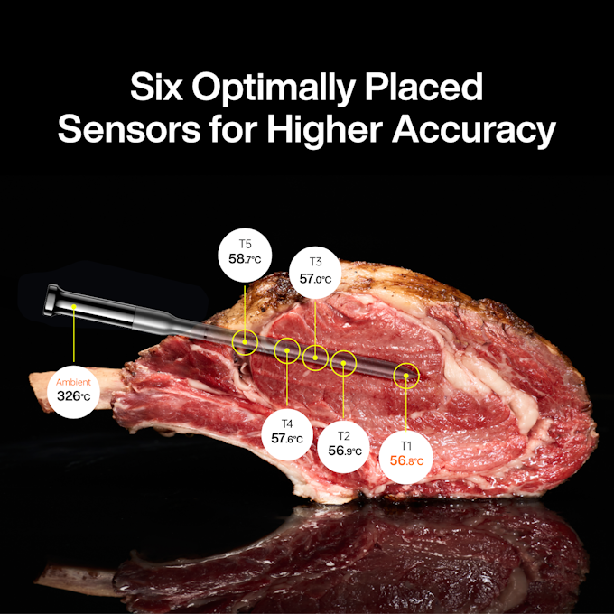 Typhur Grillthermometer SYNC Gold Dual Giftset